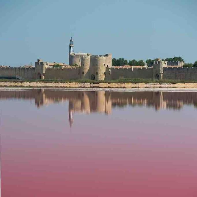 Maison Chaleureuse A 5 Mins Des Remparts Aigues-Mortes Extérieur photo
